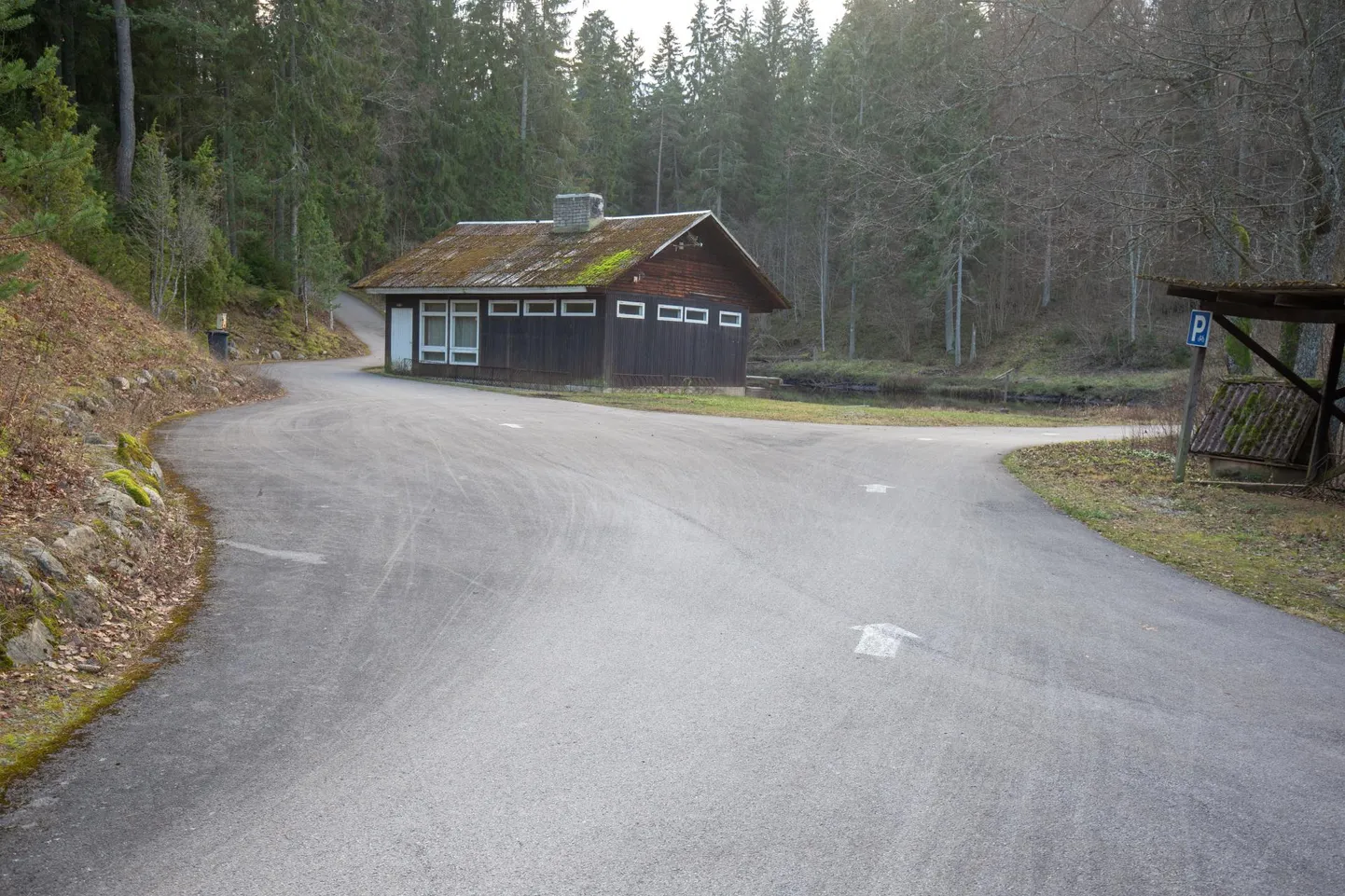 Homme on Holstre-Pollis Viljandimaa orienteerumispäevakute viimane etapp.