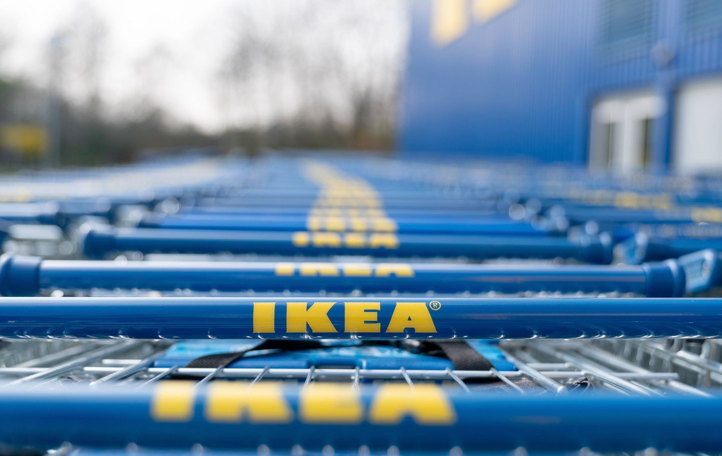 IKEA mobiilirakendus muudab ostlemise mugavamaks.