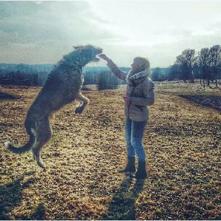 Raksta foto