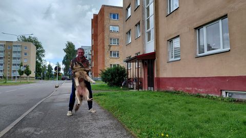 HÄIRIV PILT ⟩ Hiinalinna kortermaja trepikoda lainetas hommikul verest