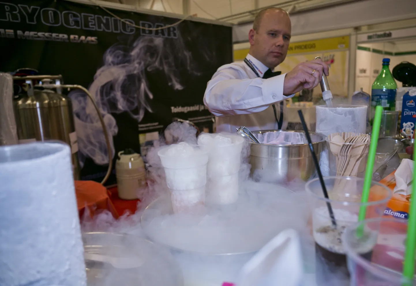 Toidumess 2013