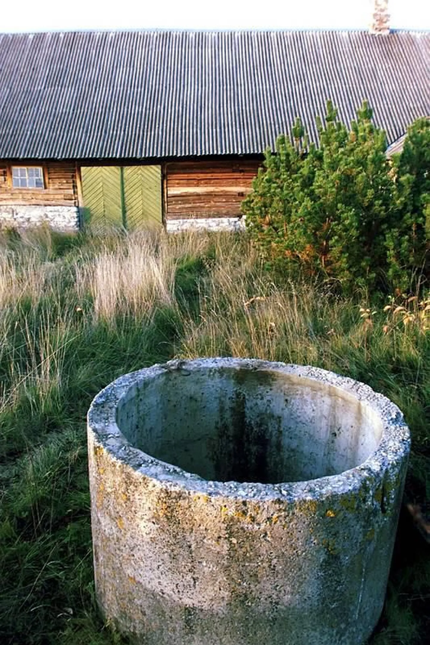 Päästjatel tuli laupäeval kaevust välja aidata kaks looma. Foto on illustratiivne.