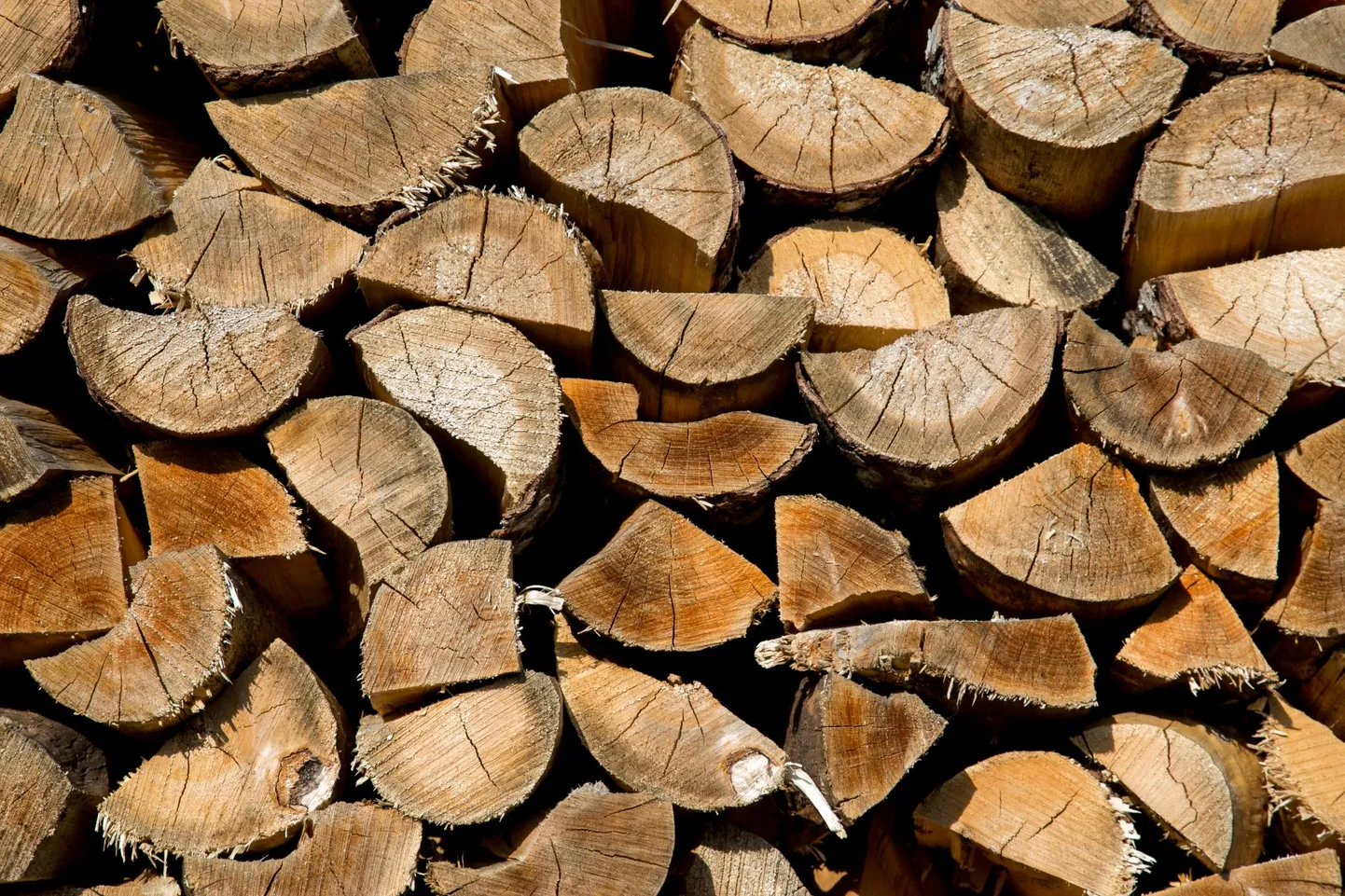 Küttepuude hinnad on kihutanud uskumatutesse kõrgustesse.