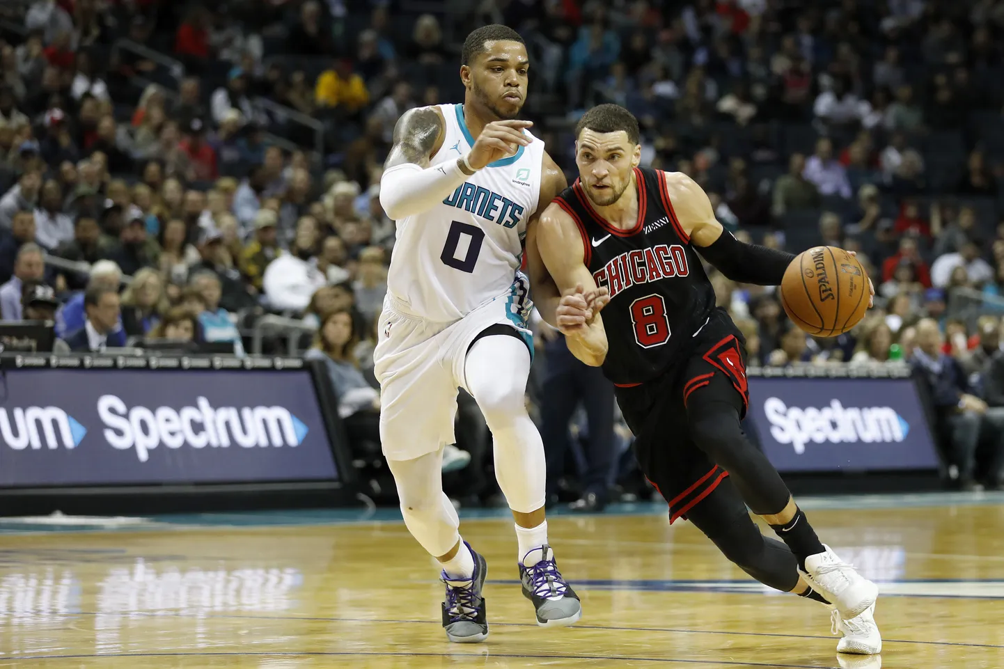 Zach LaVine (palliga)