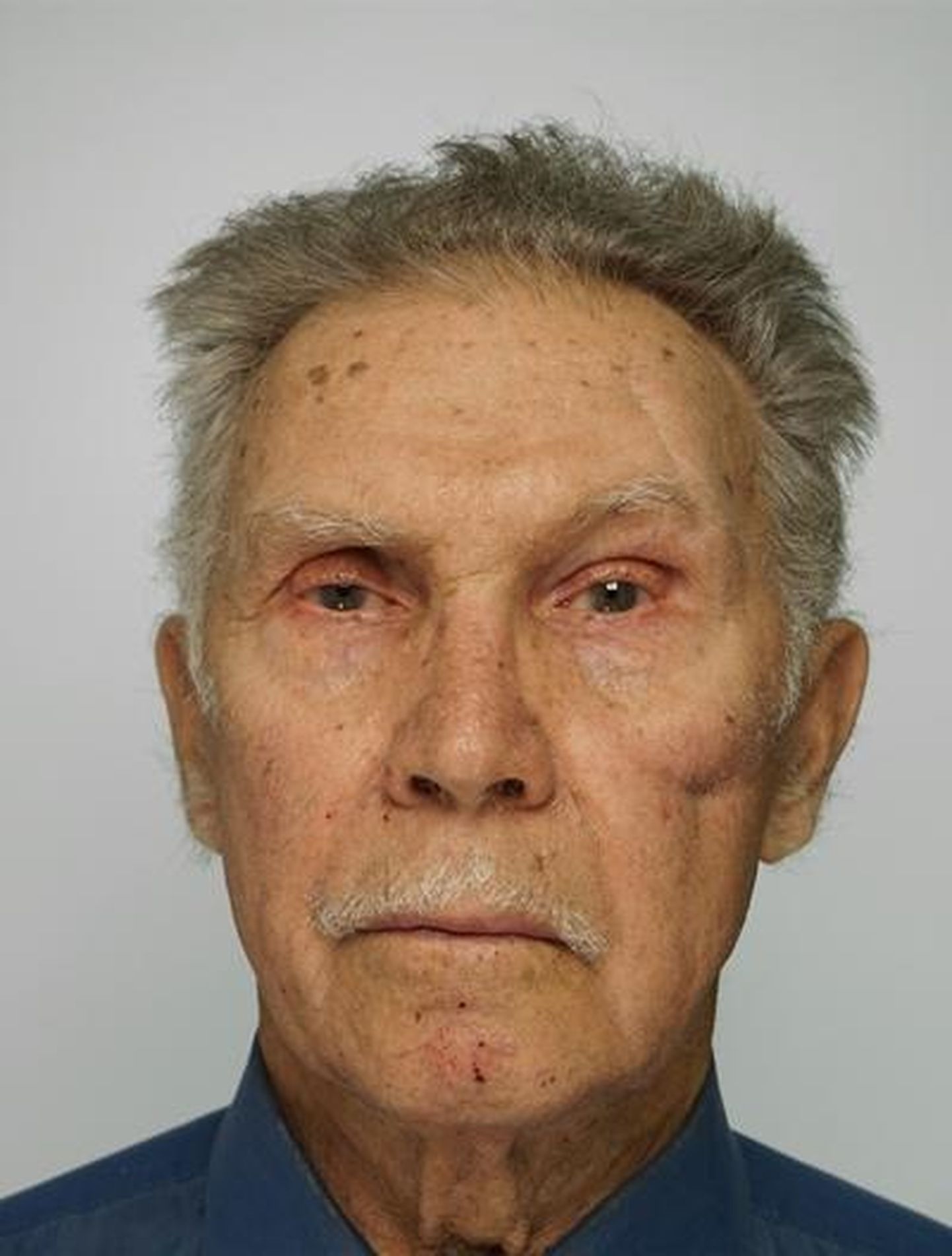 Saue vallas on kadunud 83-aastane Anatoly.