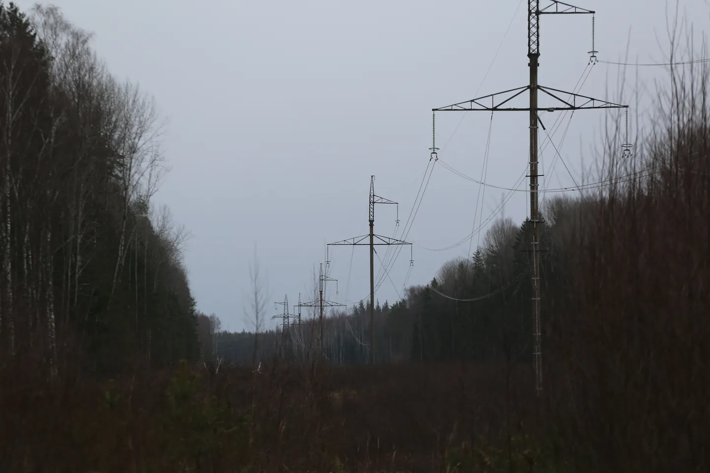 A view of the Pskov-Tartu high-voltage line at the Estonian-Russian border. The border strip itself is not visible in the photo; it is about a hundred meters away. The transmission towers further away are already on Russian territory.
