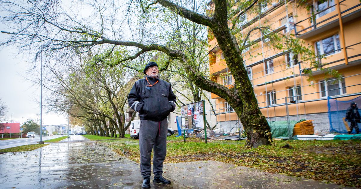 Smuuli 3 eest tahetakse maha võtta 19 puud
