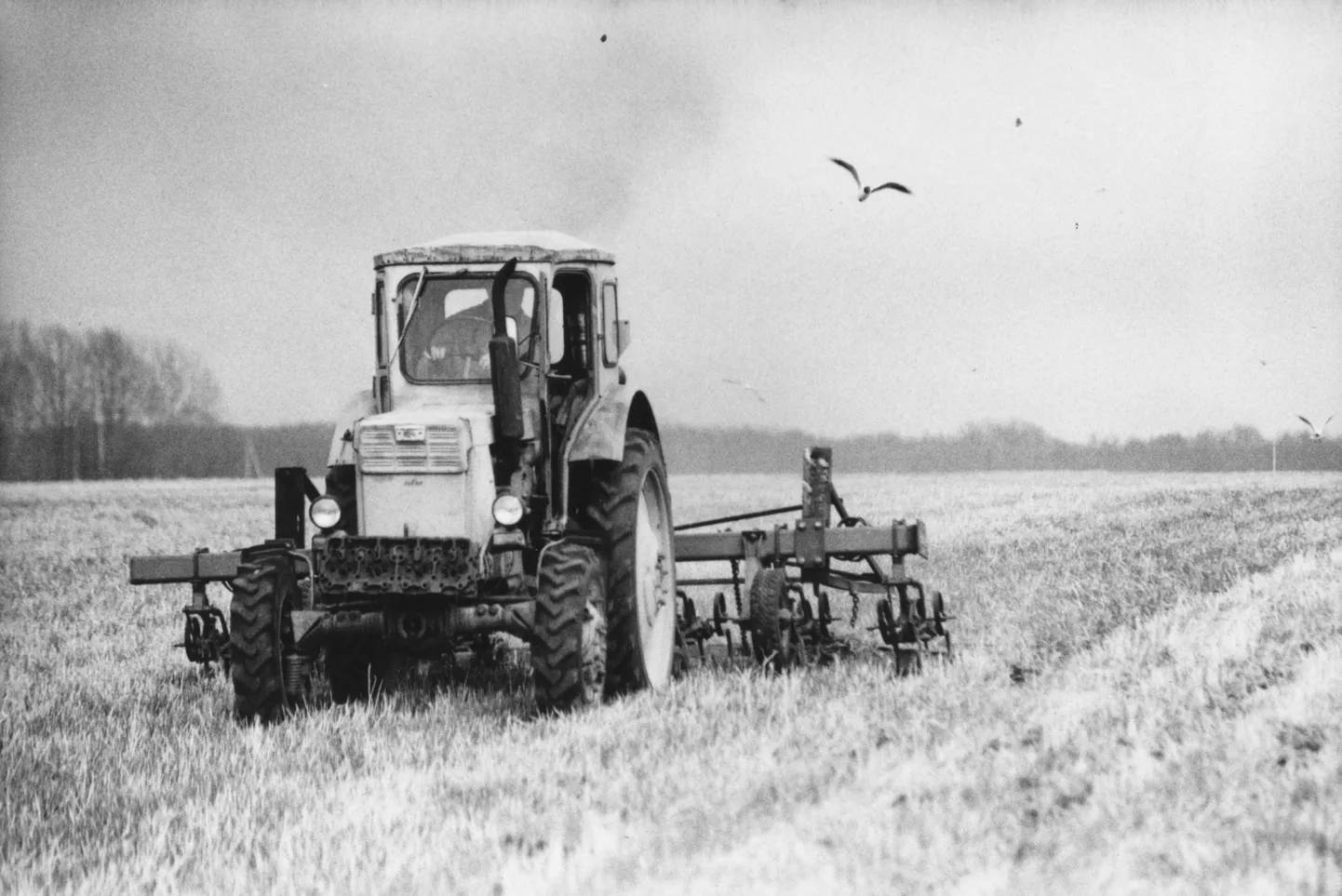 Traktor heinamaal.