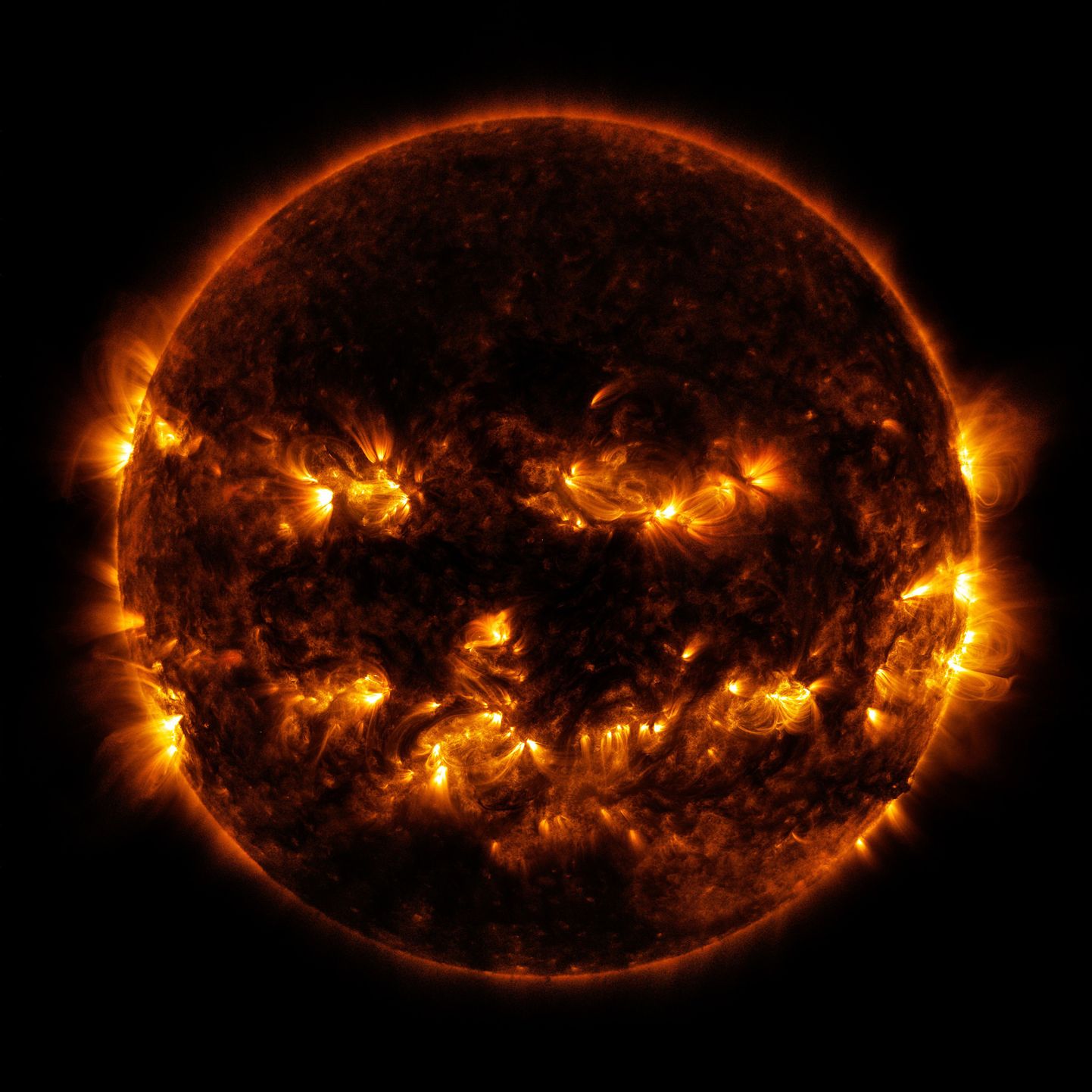 Солнце. Снимок НАСА.