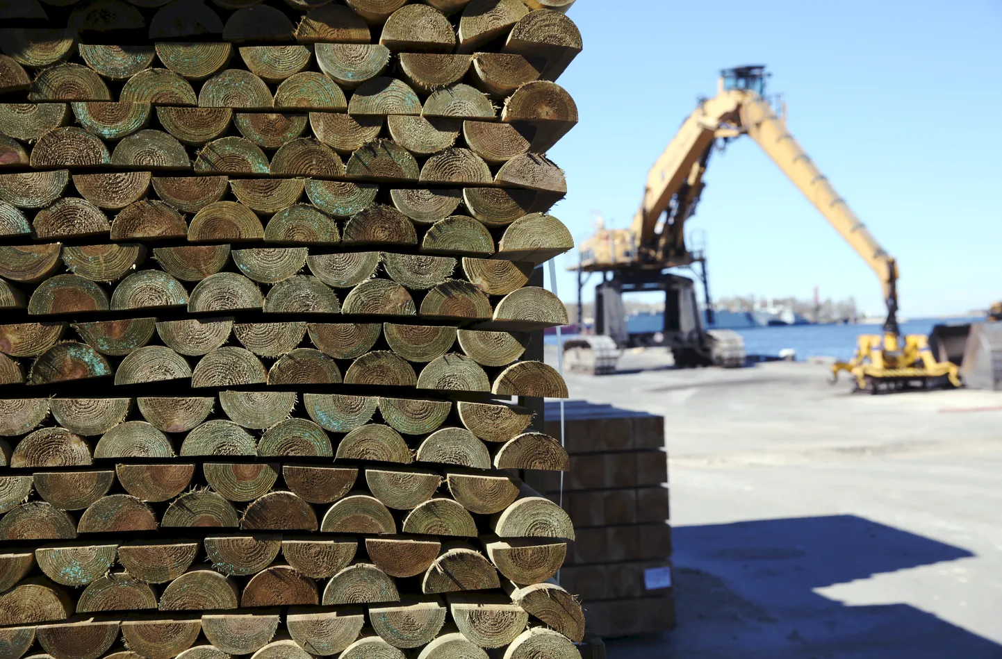 Груз древесины в Рижском порту