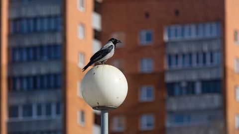 Ilm muutub nädala keskel taas päikeselisemaks ja kuivemaks