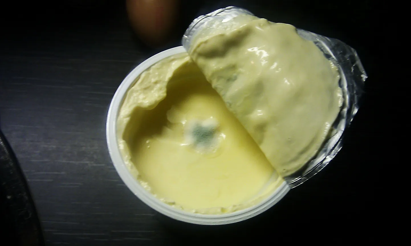 Hallitanud LaCrema jogurt.
