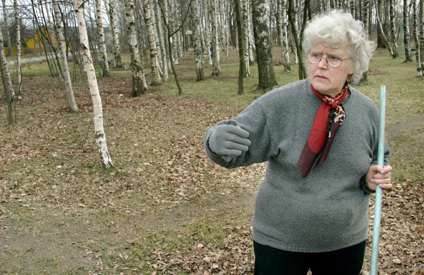 15 aasta tagasi, kui Naali-Marie Liivrand oli noorem ja jõudis peale oma aiataguse hoolitseda terve suure pargi eest, polnud probleemi. Nüüd palju eakamana ei taha linnavalitsus teda mõista, et tervis ei võimalda puudega vanuril enam linna maa eest hoolitseda.