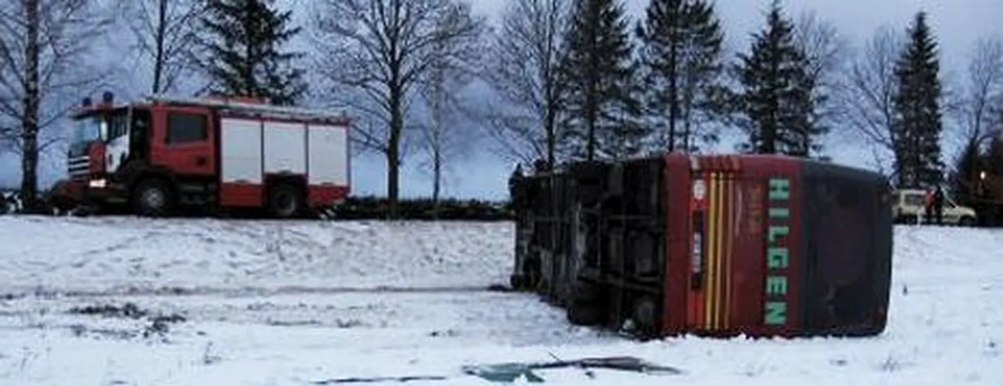 Фото статьи