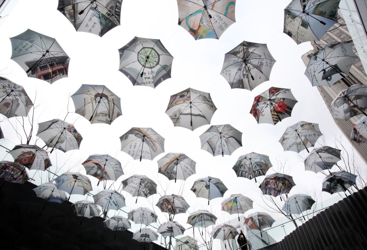 Vihmavarjud Souli linnavalitsuse ees.