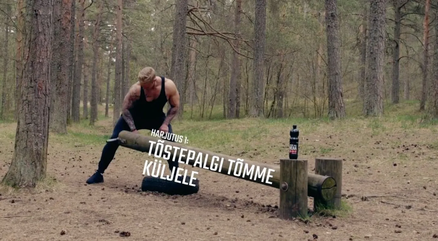 Tõstepalgiharjutus