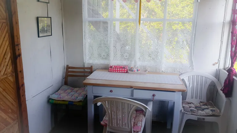 Artikli foto