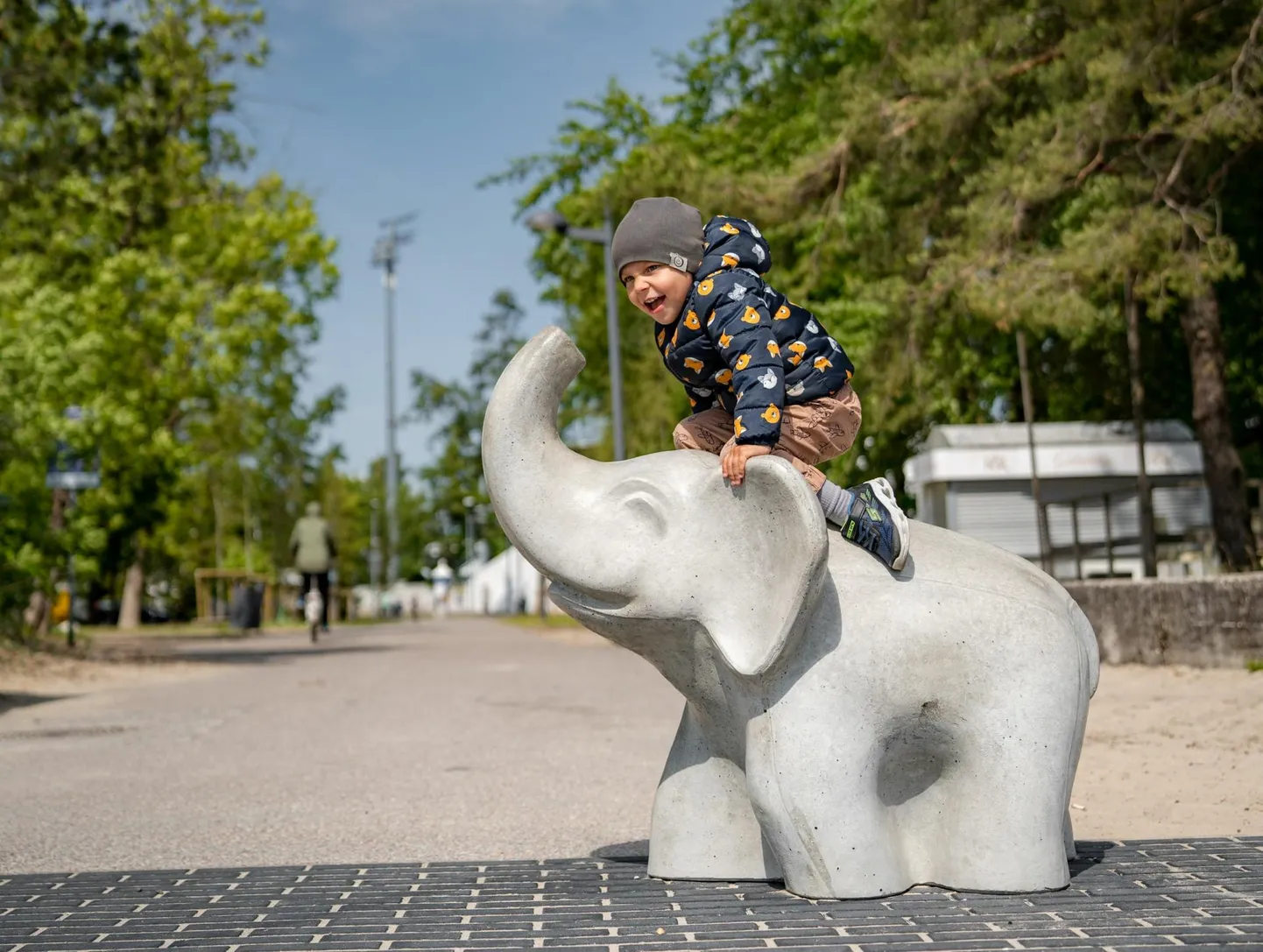 Turistimagnetiks kujunenud betoonelevandid paigaldati liiklust valvama eri tänavatele.