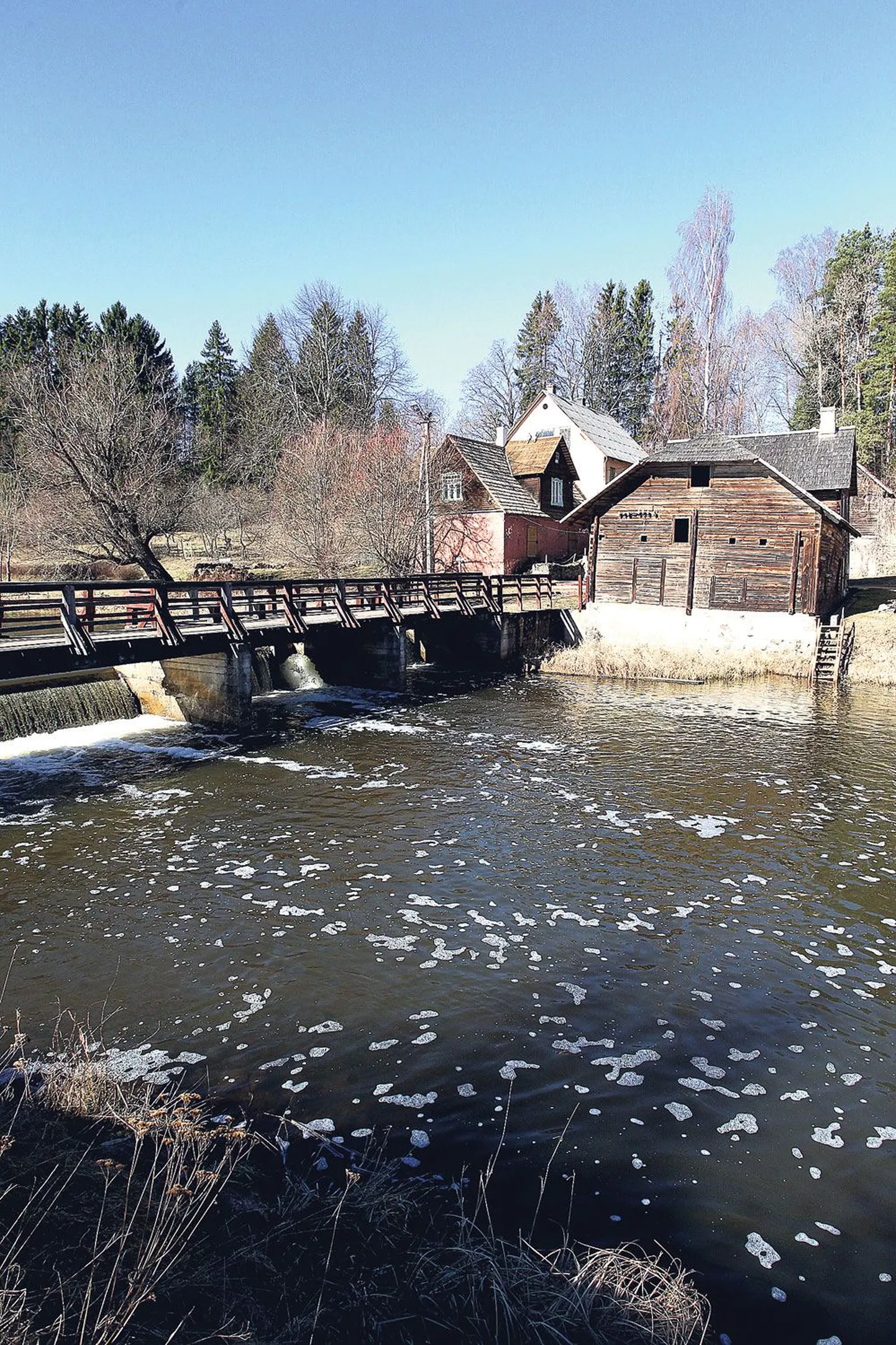 Tulevikus saavad kalad Peedu veski paisust mööda ujuda.