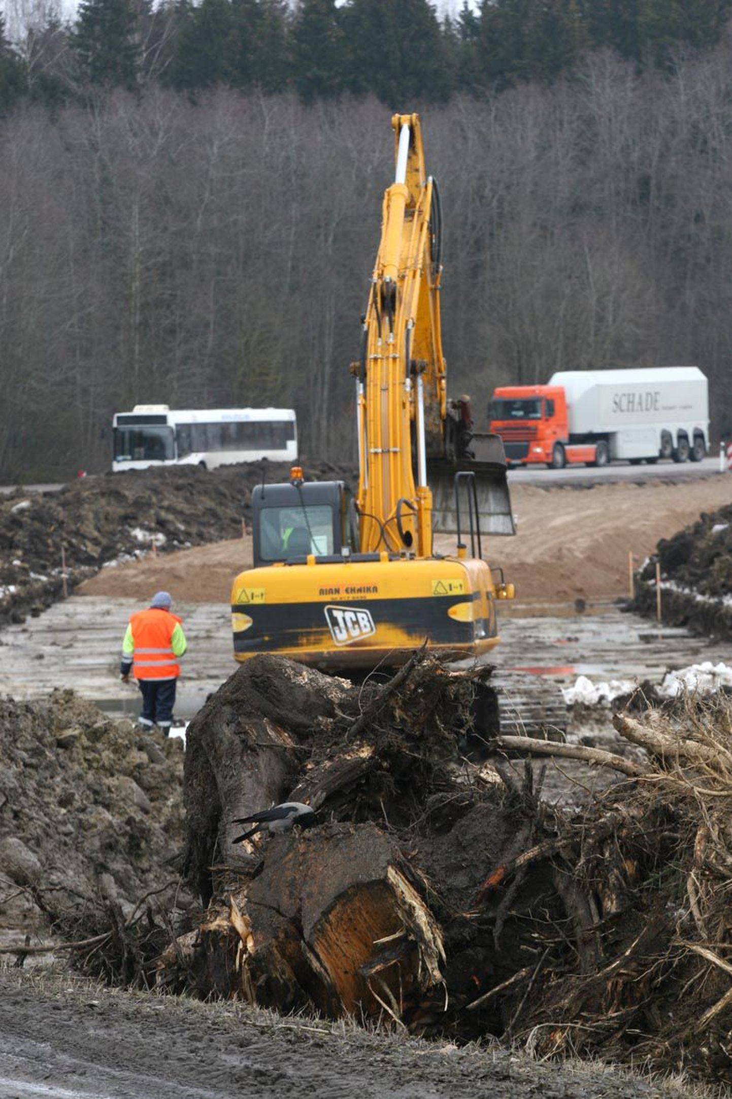 Et Rakvere-Pärnu maantee kõige ohtlikum teelõik saaks ohutumaks, tuleb tee äärest maha võtta üle kolmesaja puu.