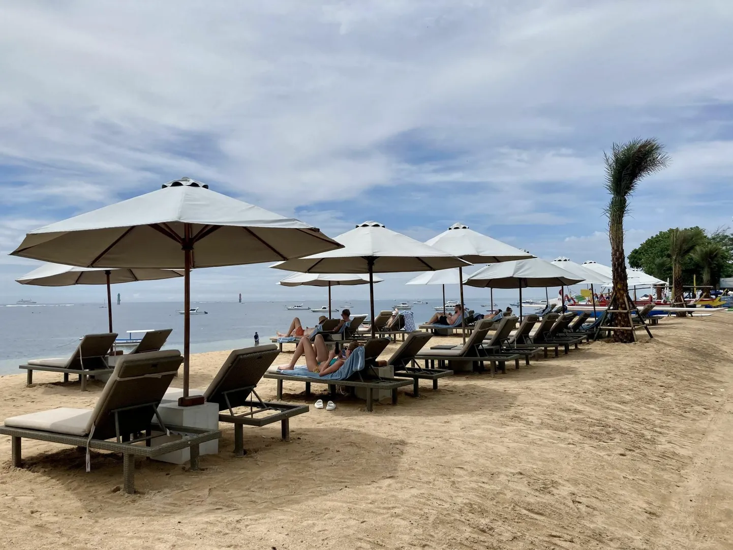 Reisipaketi kirjelduses oli öeldud, et kahe nädala jooksul teevad puhkajad Bali saarel joogat, söövad tervislikku toitu, käivad ekskursioonidel ja ka tervistavatel protseduuridel.
