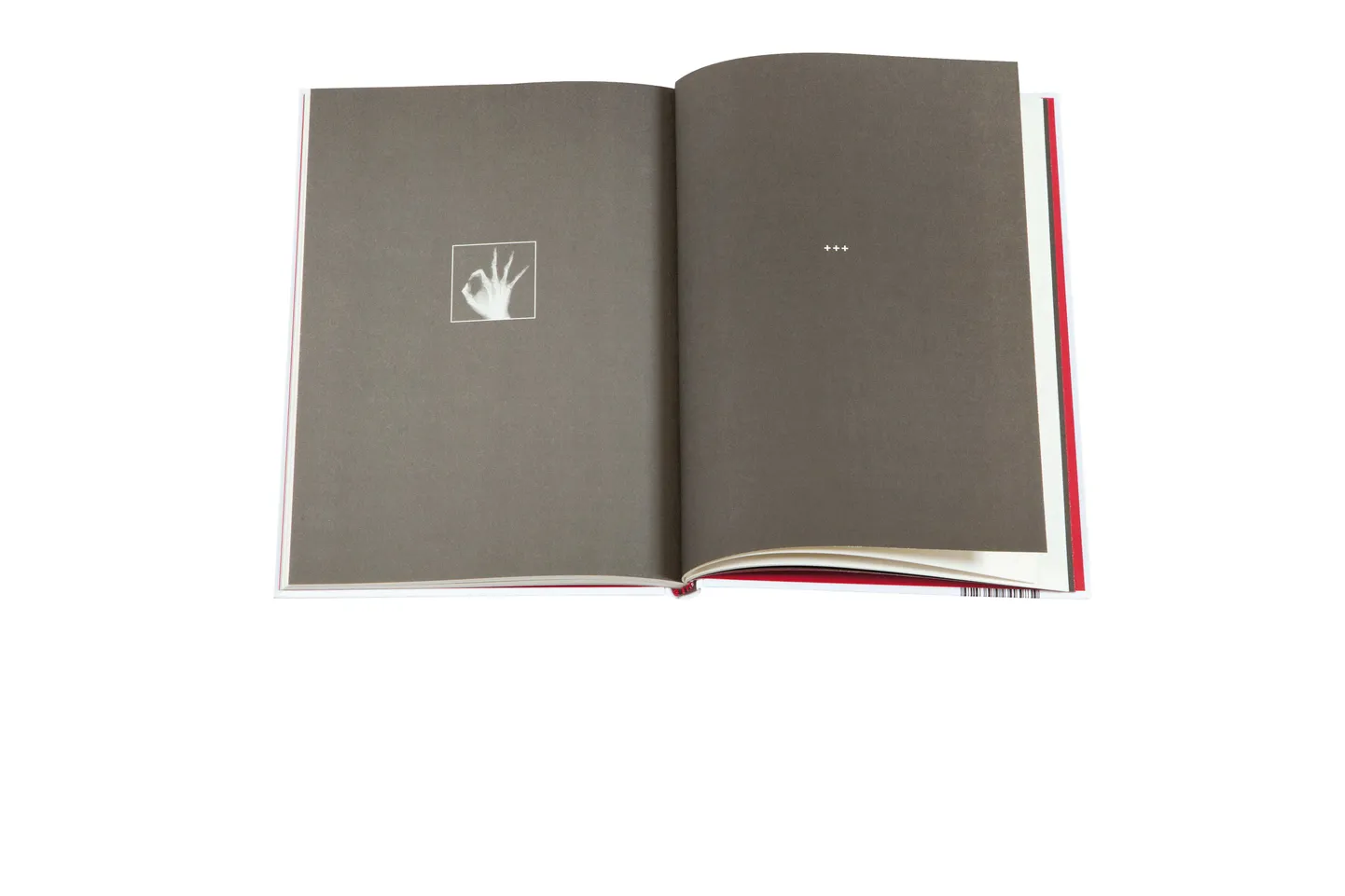 Книга. Иллюстративное фото.