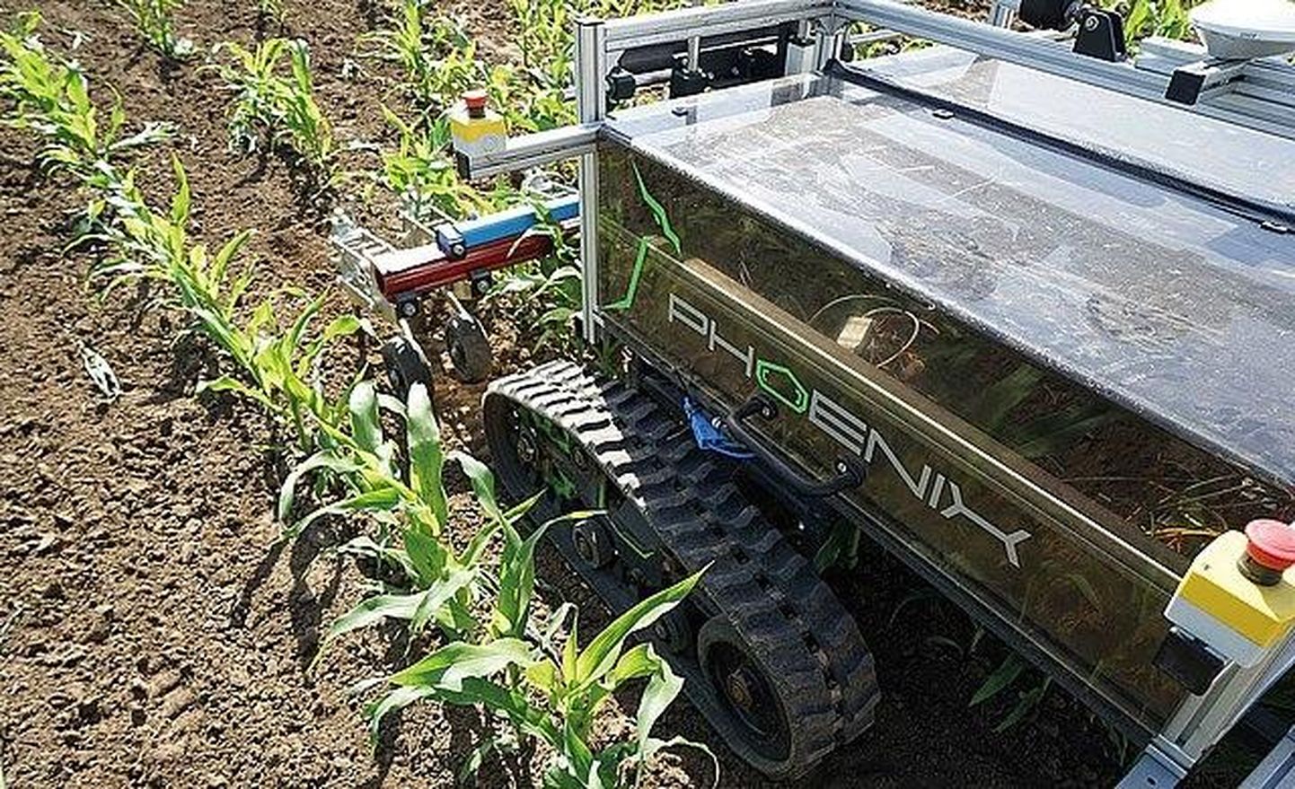 Tehnoloogiline progress põllumajanduses lubab ehitada üha nutikamaid roboteid, näiteks selliseid, mis võimaldavad asendada keemilise umbrohutõrje mehaanilisega.