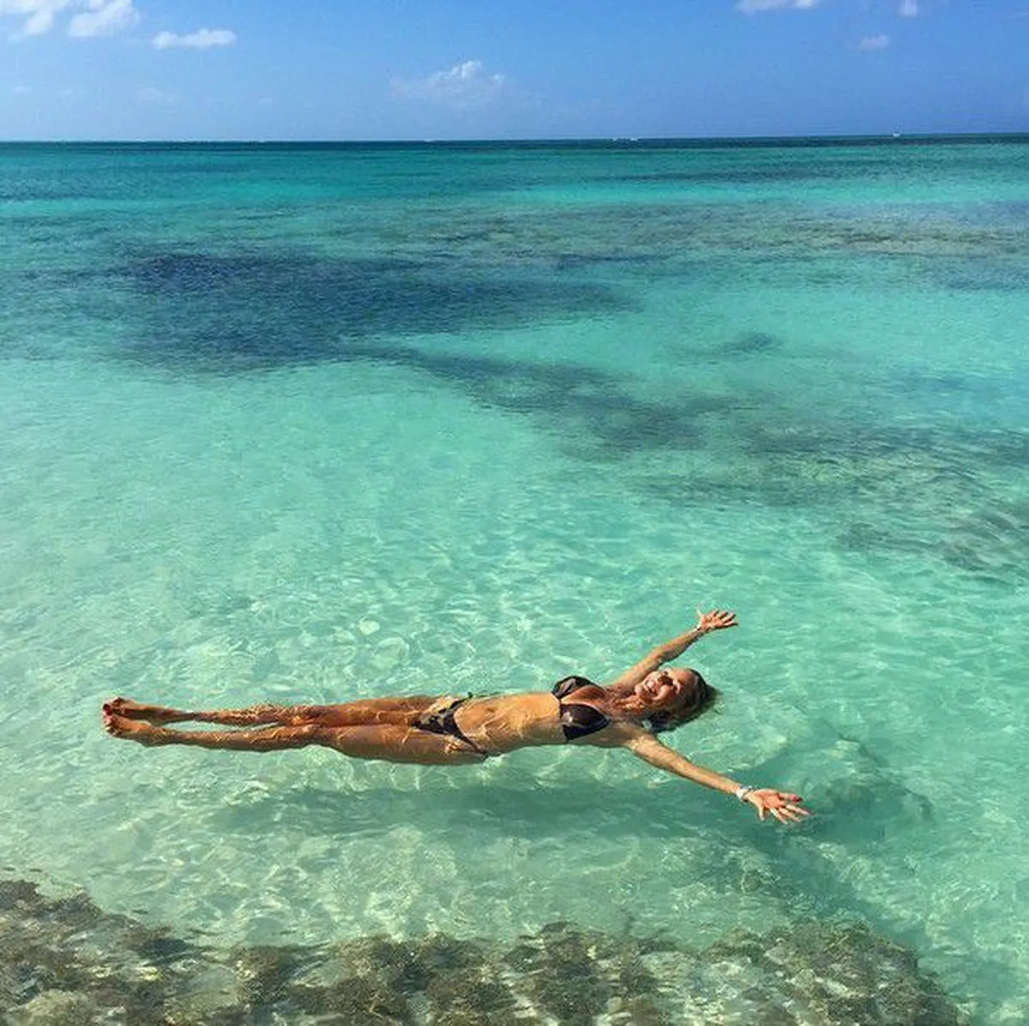 Christie Brinkley