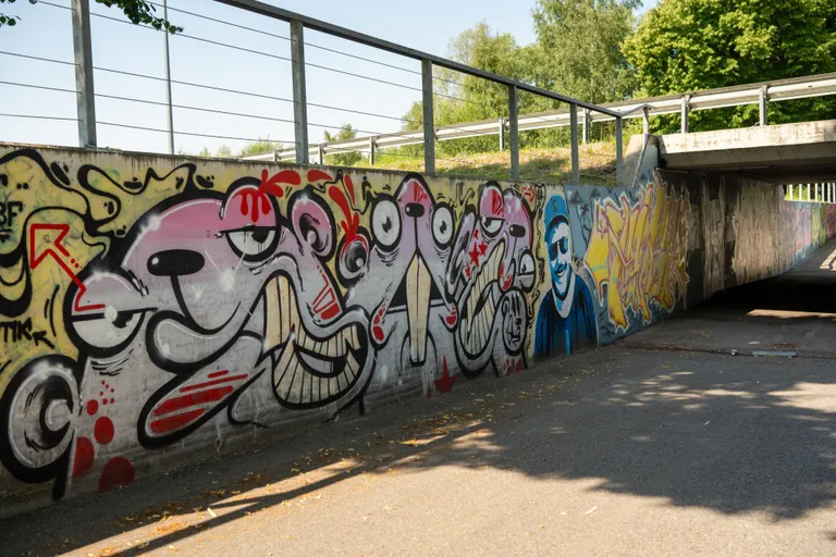 Osa seinamaalinguid oli jalakäijate tunnelis juba varem.