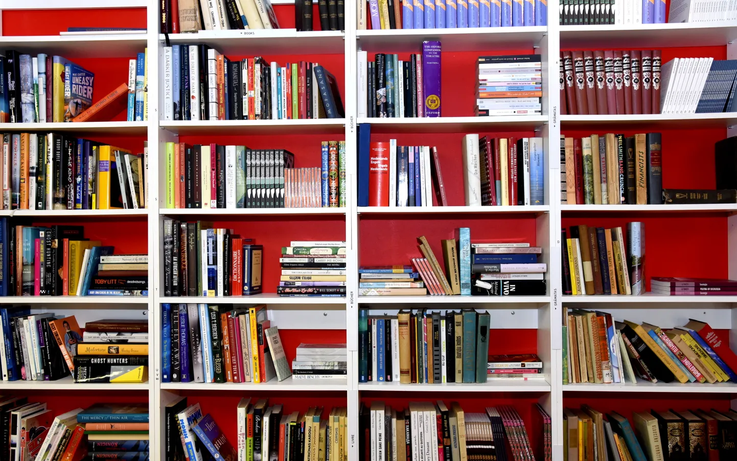 Книги. Иллюстративное фото