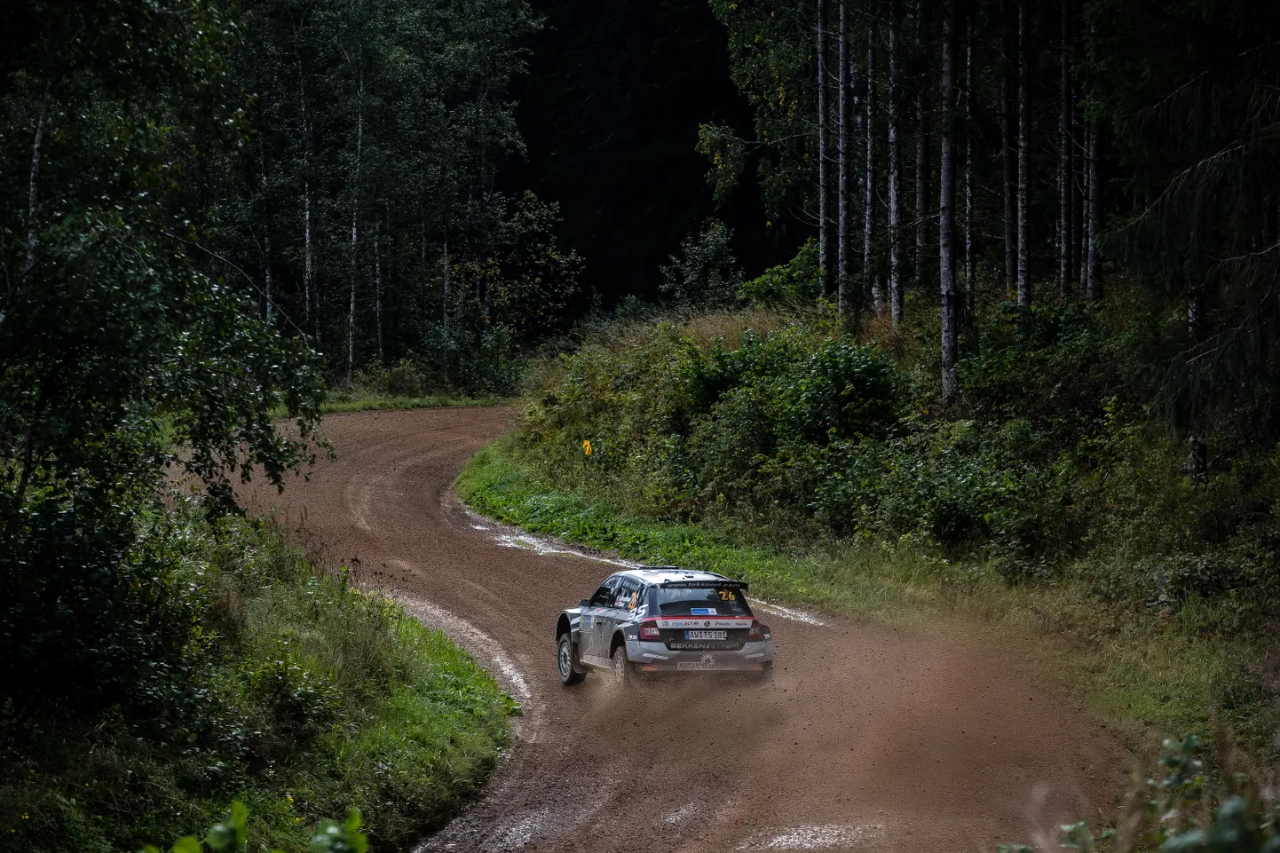 Тестовый заезд Rally Estonia.