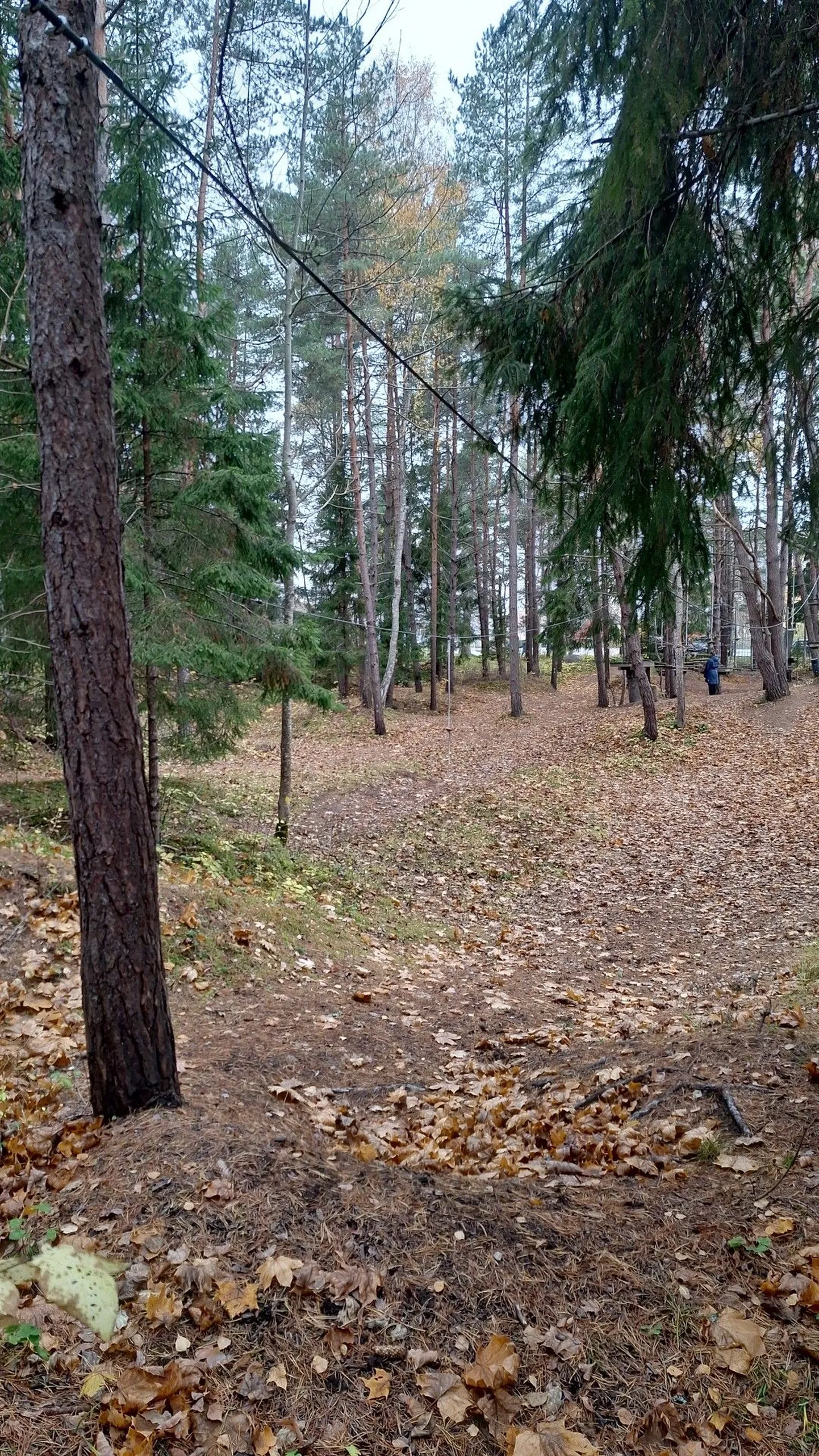 Leisi seikluspark
