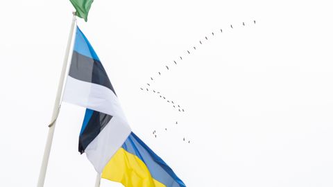 Eesti kiitis heaks eritribunali halduskomitee asutamise leppe