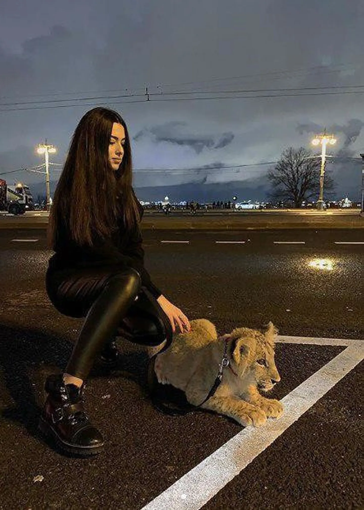 Фото статьи