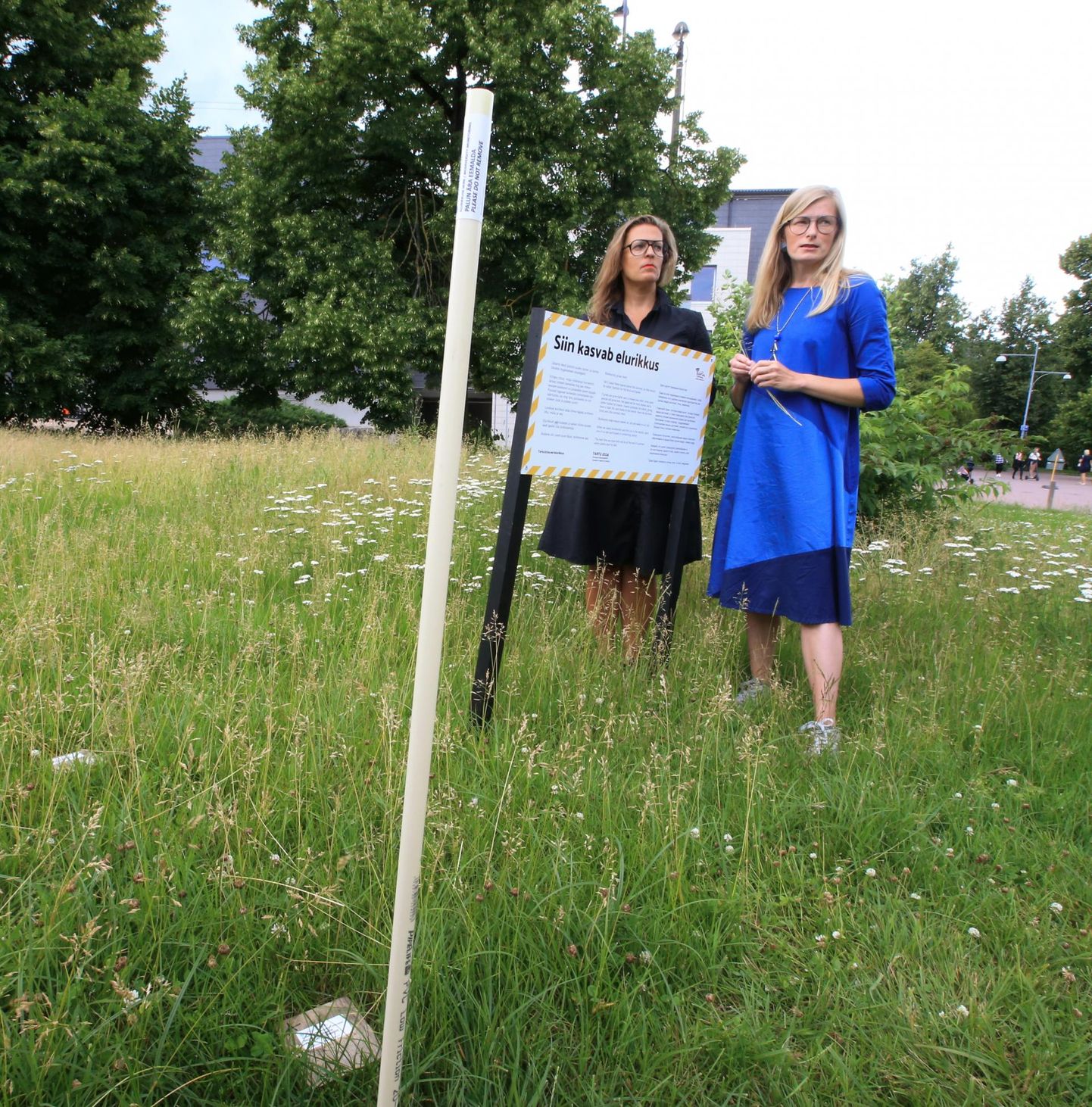 Maastikuarhitektid Karin Bachmann (vasakul) ja Merle Karro-Kalberg.