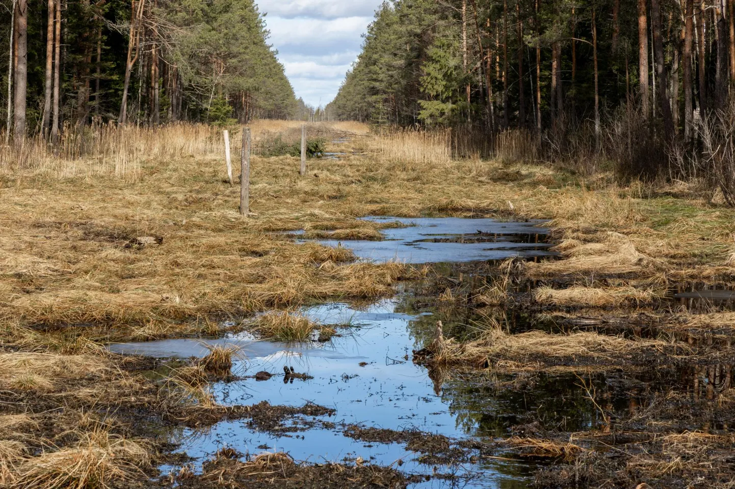Kikepera looduskaitsealal toimuv taassoostamine nörritab kohalikke elanikke.