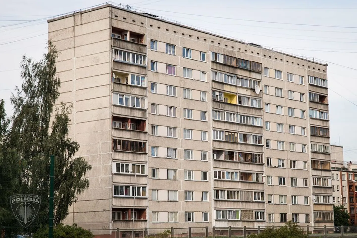 Фото статьи
