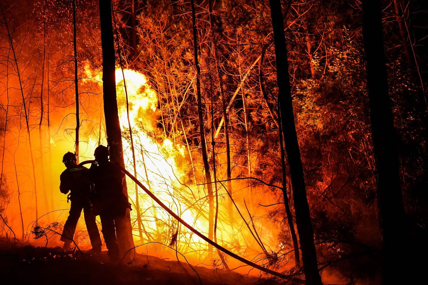 Tuletõrjujad võitlemas Prantsusmaa lõunaosas suure metsapõlenguga.