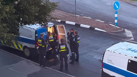 Kuressaares tuli politseil tegeleda kahe joobes mehe ja viga saanud ratturiga