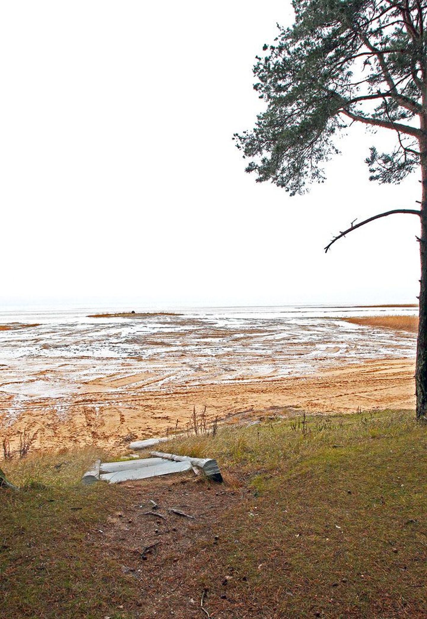 Et Võrtsjärve  veepiir on tänavu sügisel taandunud rannast paarisaja meetri kaugusele, sai buldooser järvepõhja ära puhastada nii, et välja tuli looduslik liiv.