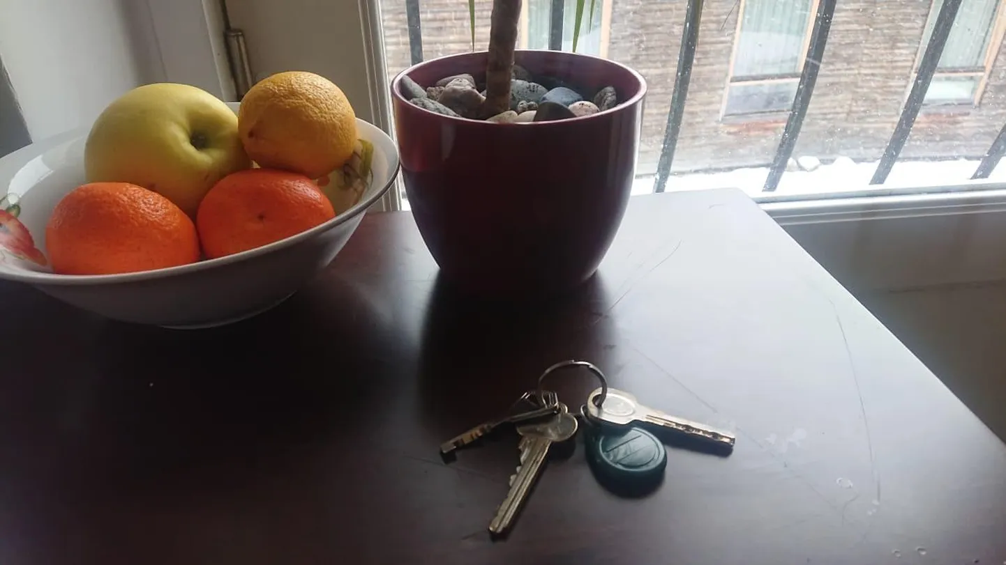 Ärge jätke võtmeid laokile, kui te kodust lahkute.