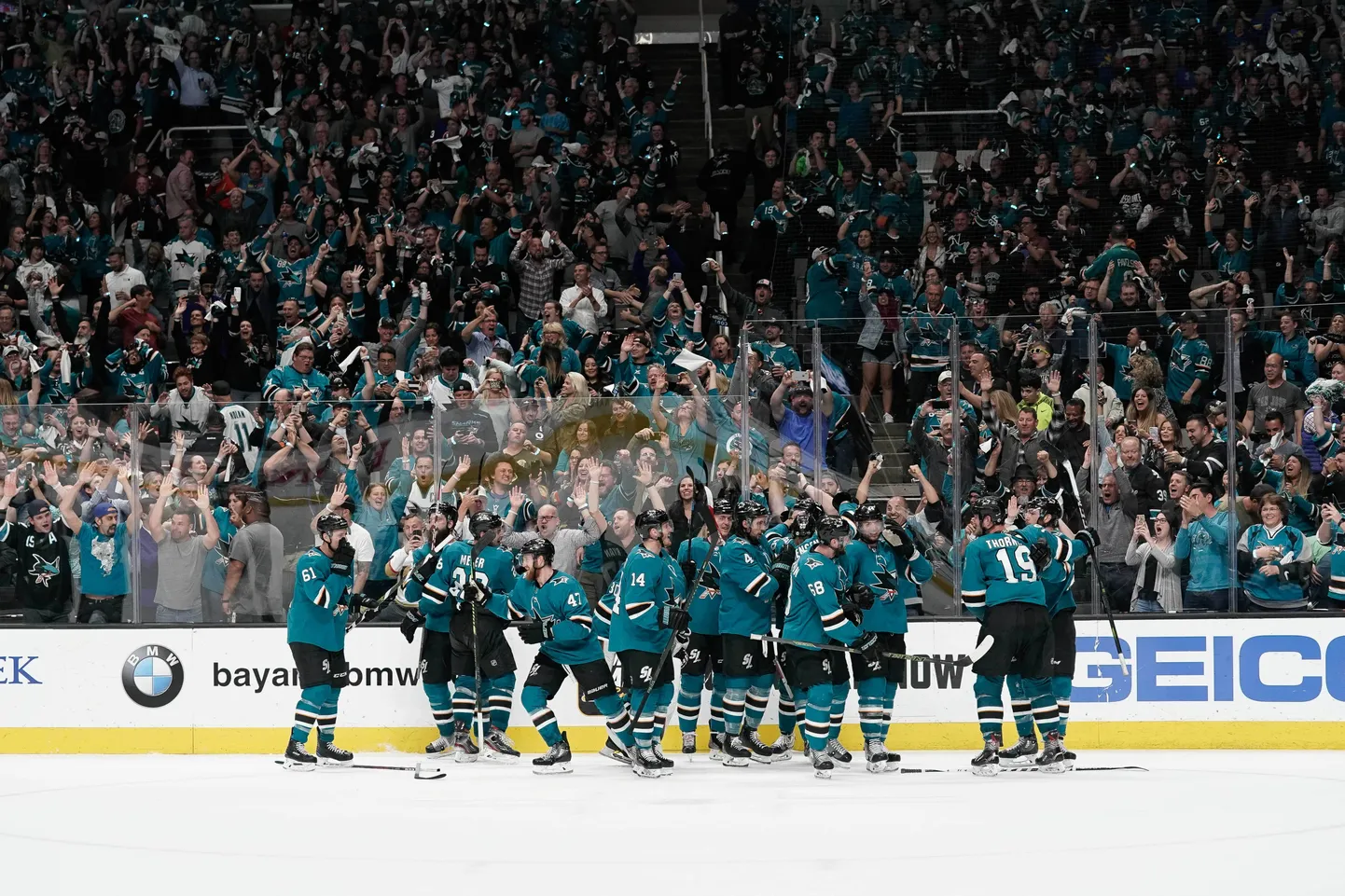Sanhosē "Sharks" hokejisti