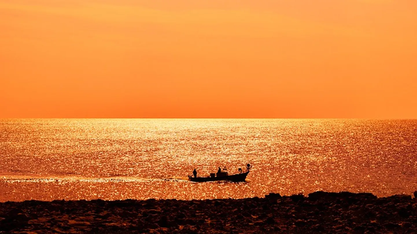 Artikli foto