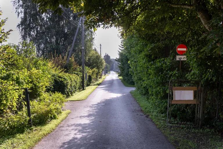 Sel elumajadega ääristatud umbtänaval Tammiste külas on kohalike kinnitusel muidu rahulik.