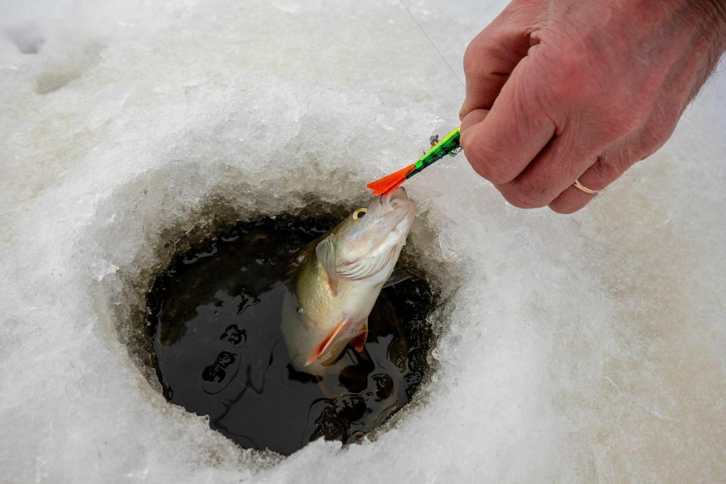 Kalamehed peavad talviseks püügiks veel kannatust varuma ja ära ootama, kuni jää on vähemalt 10 sentimeetrit paks.