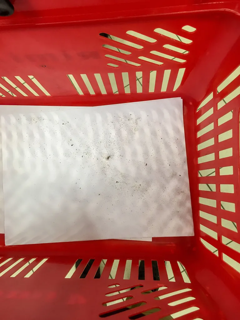 Rimi ostukorvis oli mulda märgatavalt vähem./ Sander Ilvest