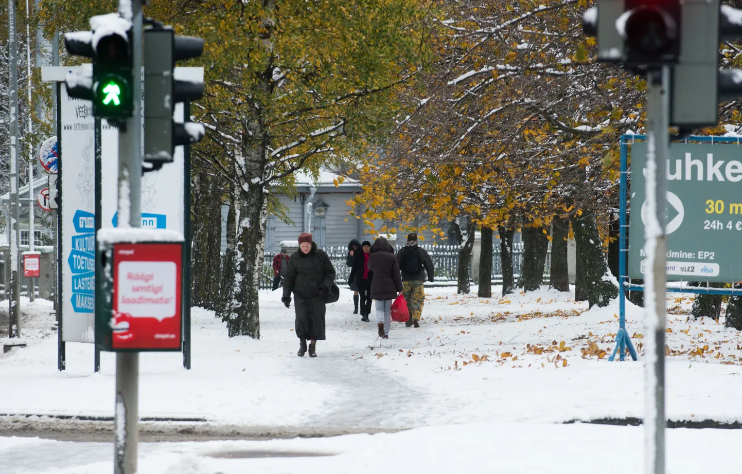 Esimene lumi Tallinna südalinnas