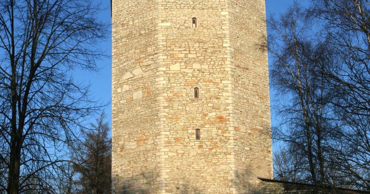järva-jaani