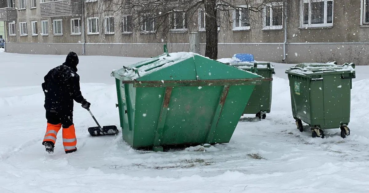 Selgus, kuhu panna tuhk ja kas munakoored on biojääde