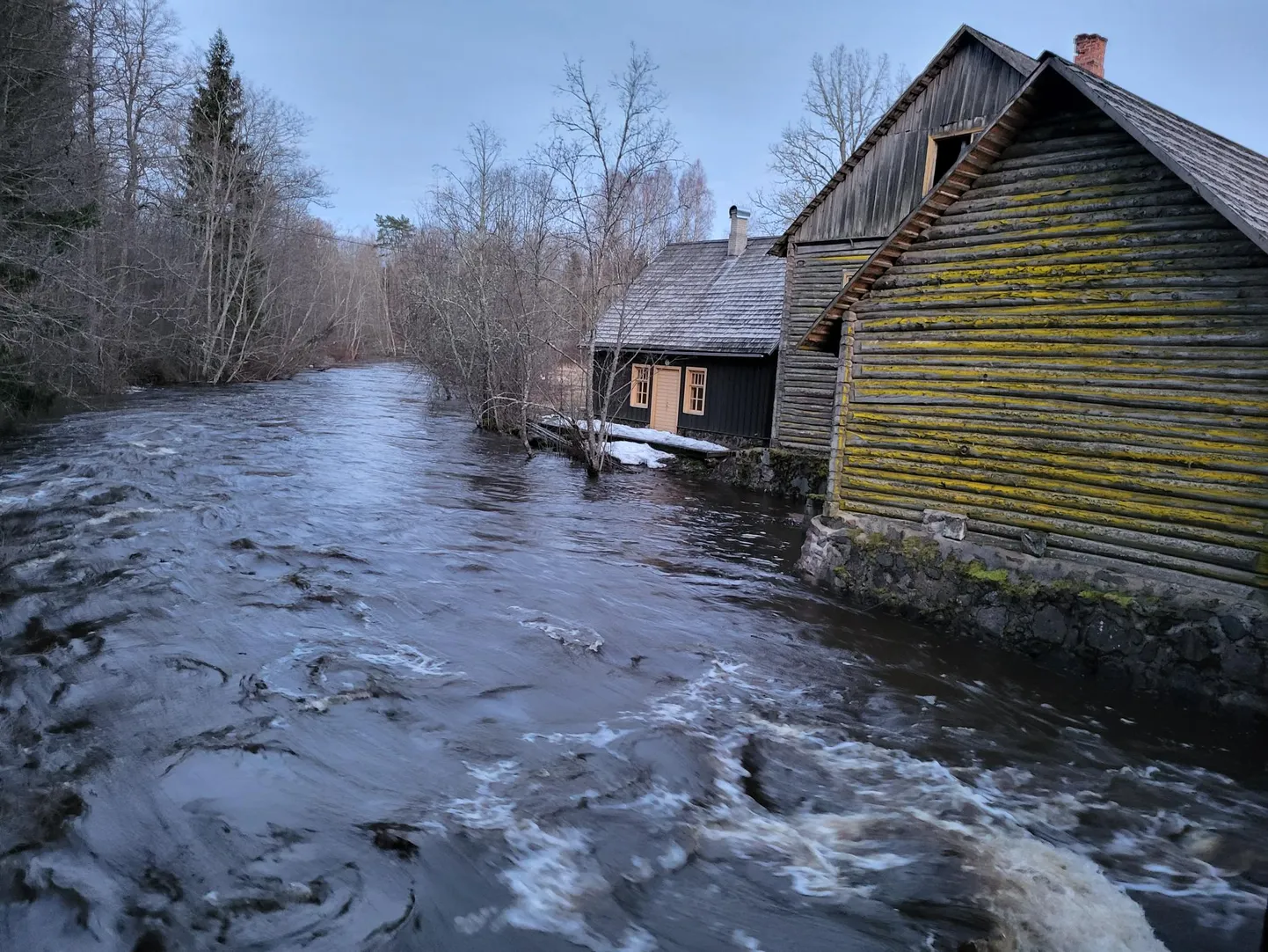Фото статьи